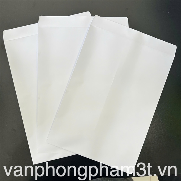 Bao Thư A4 - Cái